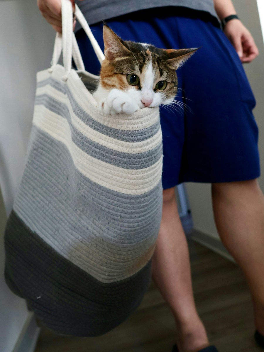 Переноска для кошки
