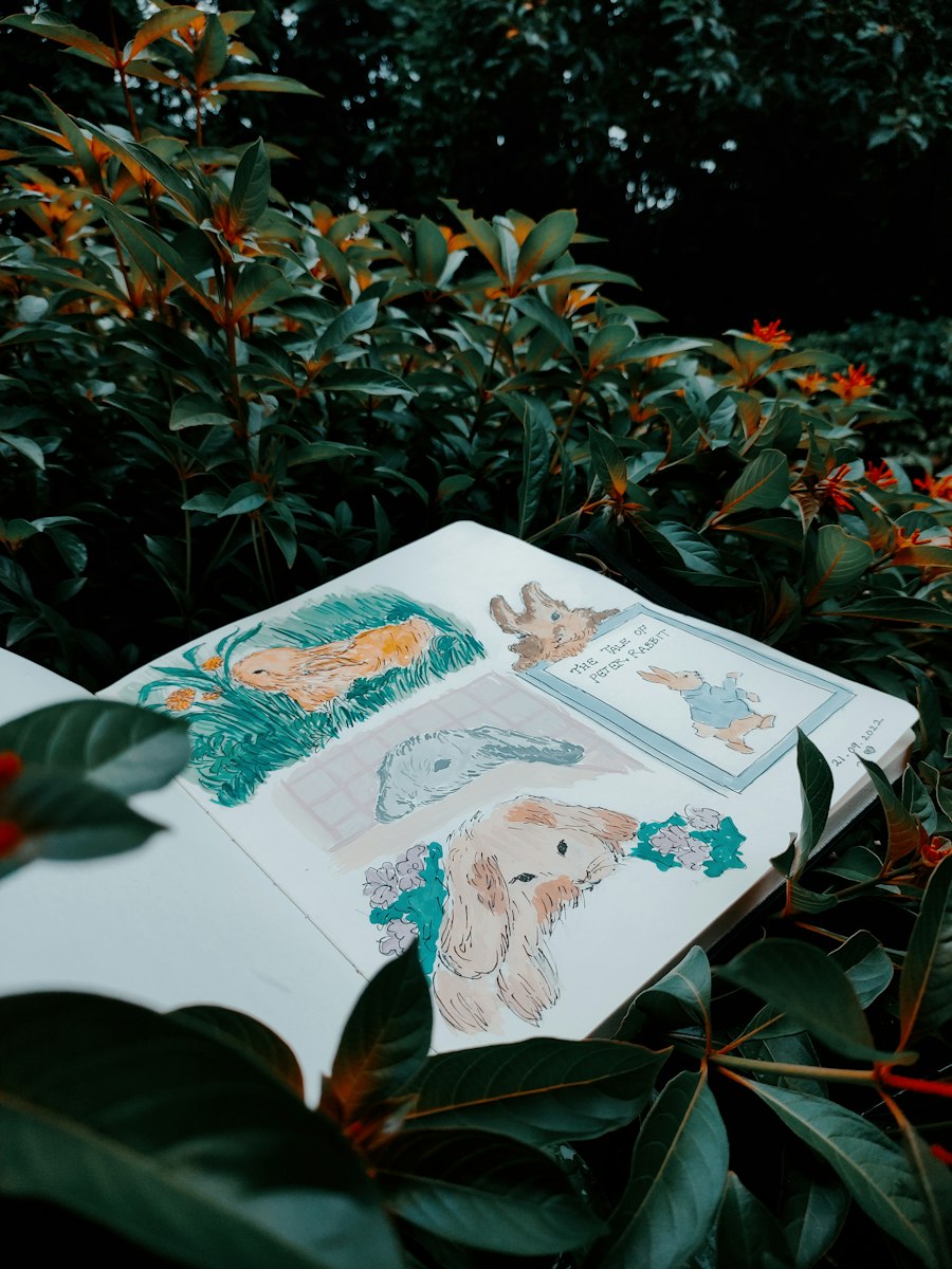 Книга детская "Лисенок и луна"