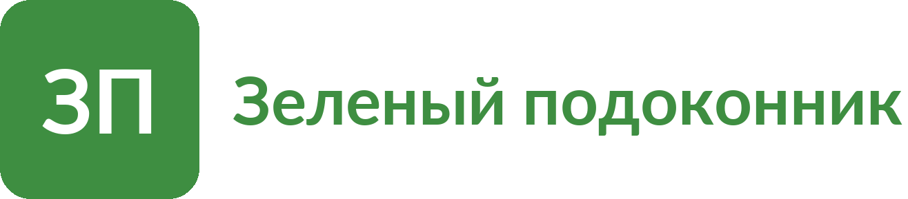 Зеленый подоконник